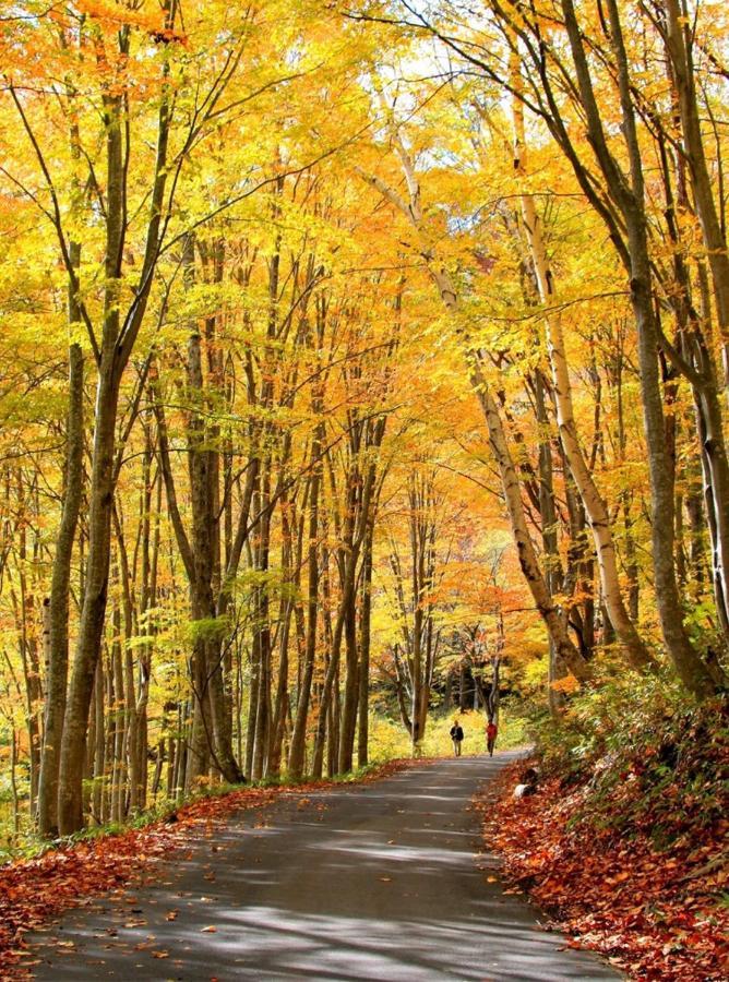 ホテル 越後田中温泉 しなの荘 津南町 エクステリア 写真