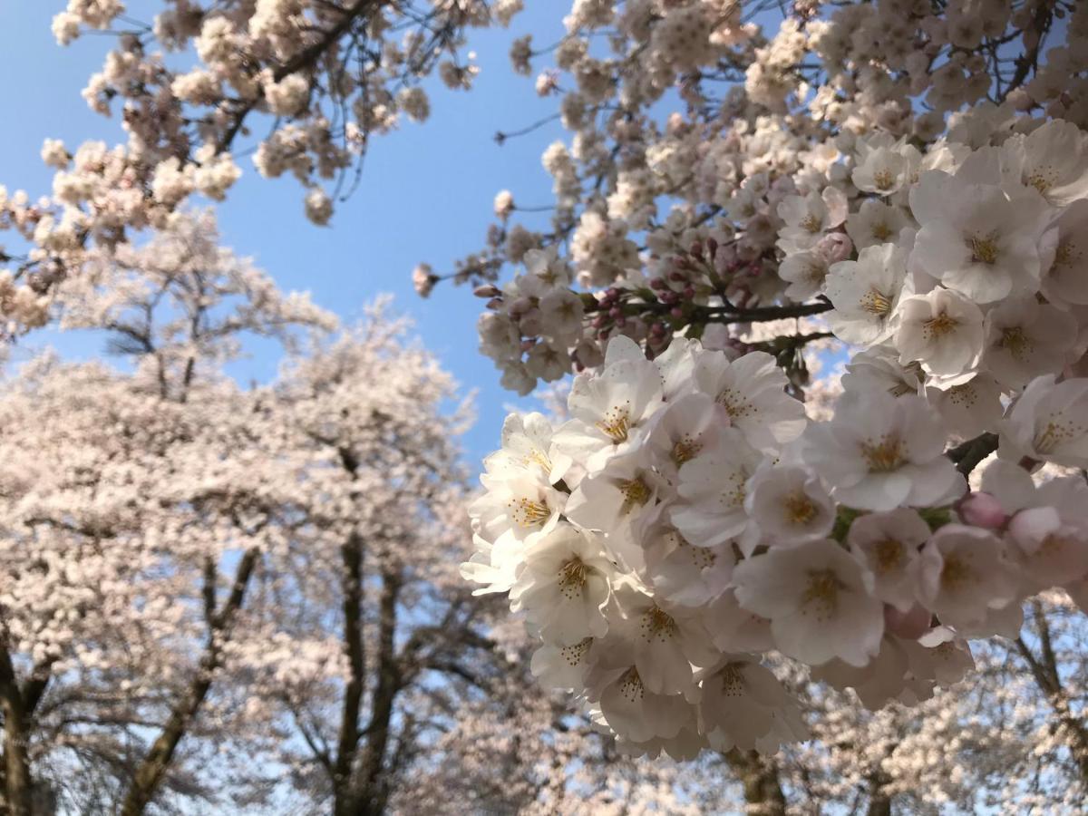 ホテル 越後田中温泉 しなの荘 津南町 エクステリア 写真