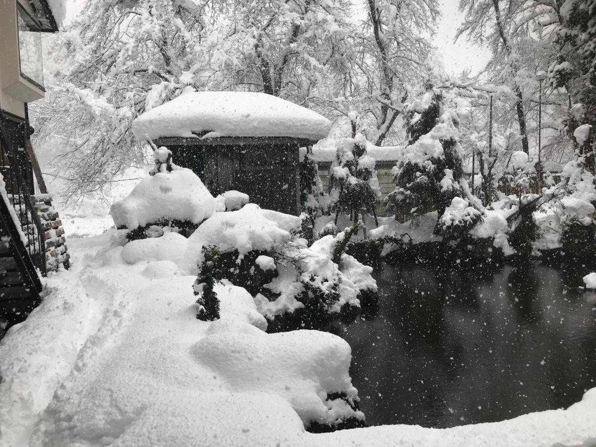 ホテル 越後田中温泉 しなの荘 津南町 エクステリア 写真