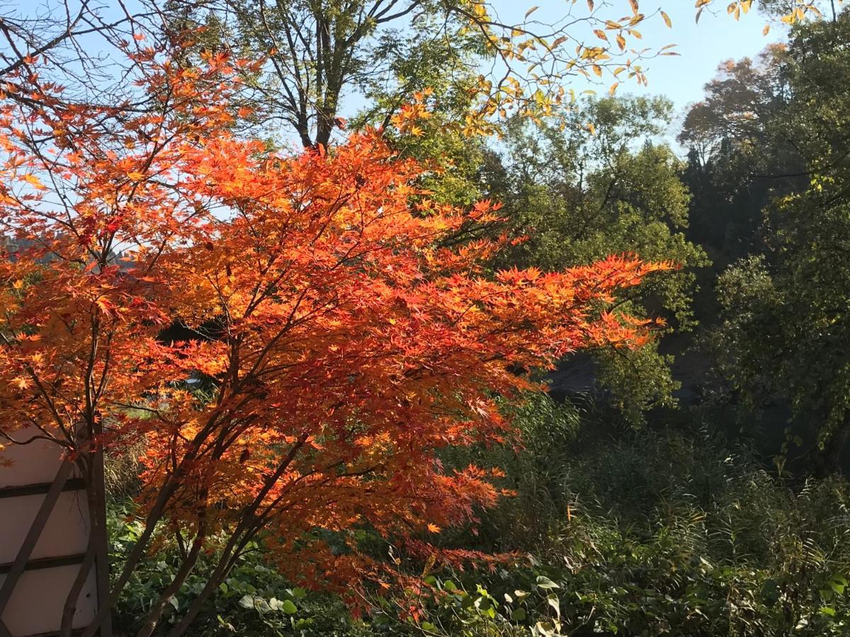 ホテル 越後田中温泉 しなの荘 津南町 エクステリア 写真