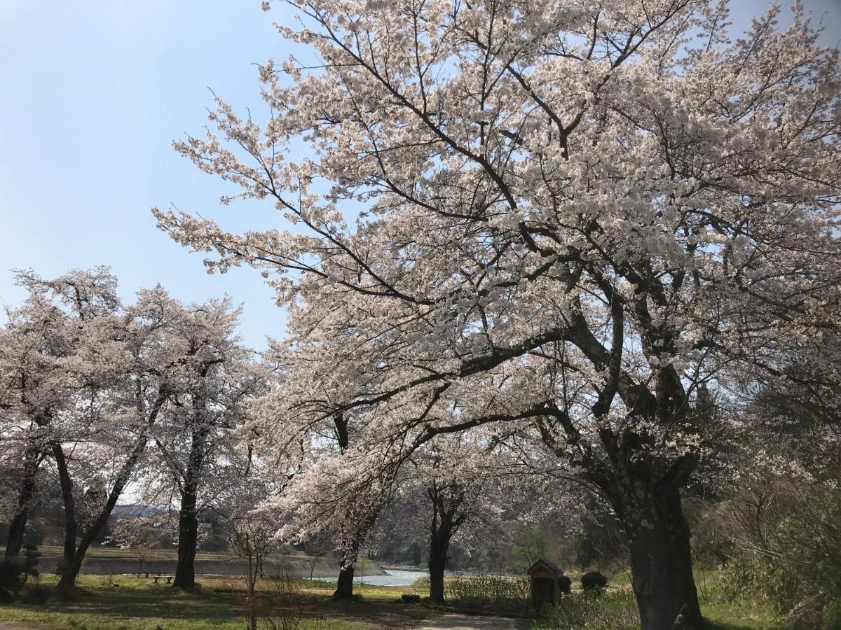 ホテル 越後田中温泉 しなの荘 津南町 エクステリア 写真